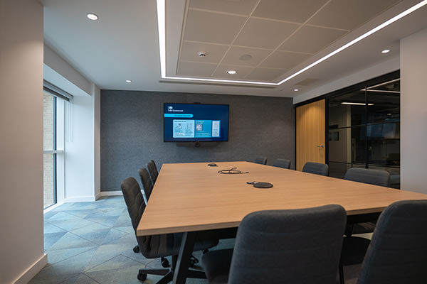 Defining the Professional Standard for Government Meeting Spaces